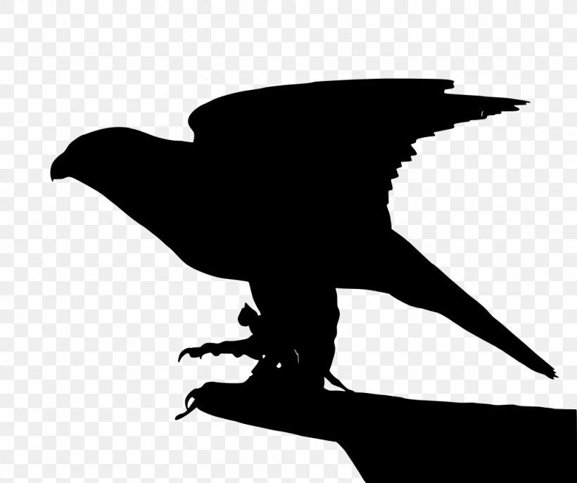 Bird Beak Wing Silhouette Black-and-white, PNG, 1024x859px, Bird, Beak, Blackandwhite, Crow, Perching Bird Download Free