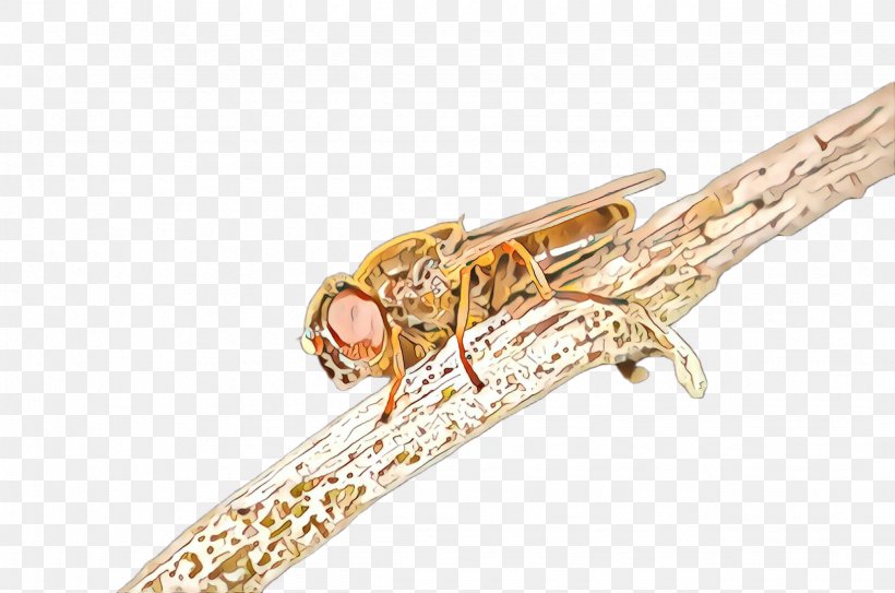 Brass Instrument Insect Wind Instrument Musical Instrument Jewellery, PNG, 2455x1628px, Cartoon, Brass Instrument, Insect, Jewellery, Musical Instrument Download Free