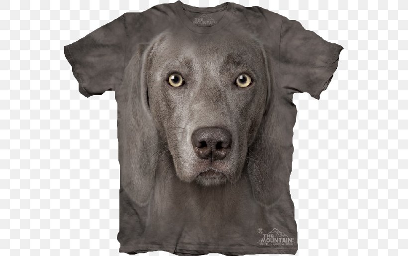 T-shirt Weimaraner Clothing Top, PNG, 562x514px, Tshirt, Amazoncom, Breed, Carnivoran, Clothing Download Free