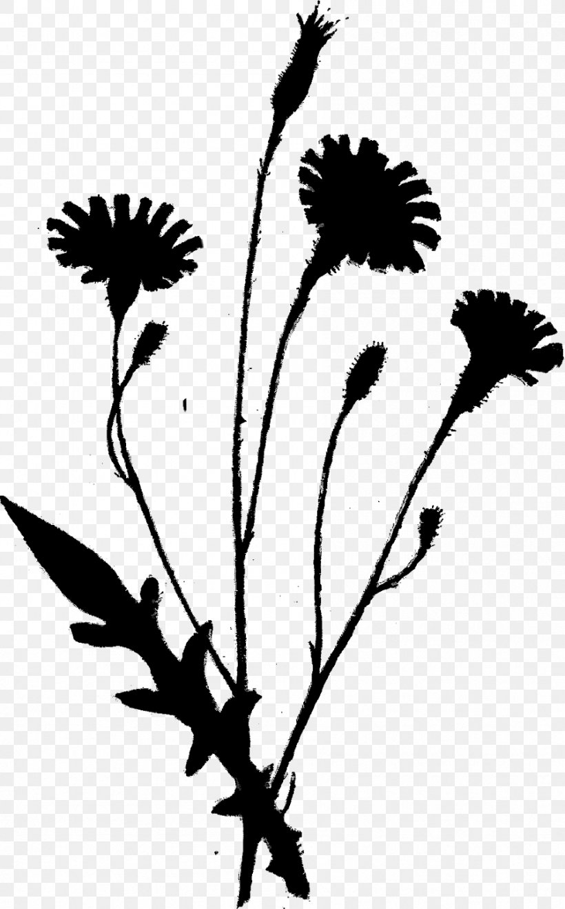 Twig Clip Art Plant Stem Leaf Silhouette, PNG, 896x1441px, Twig, Blackandwhite, Botany, Dandelion, Flower Download Free