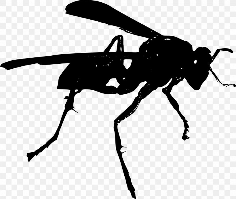 Bee Hornet Wasp Clip Art, PNG, 2400x2020px, Bee, Arthropod, Black And White, Fly, Great Black Wasp Download Free