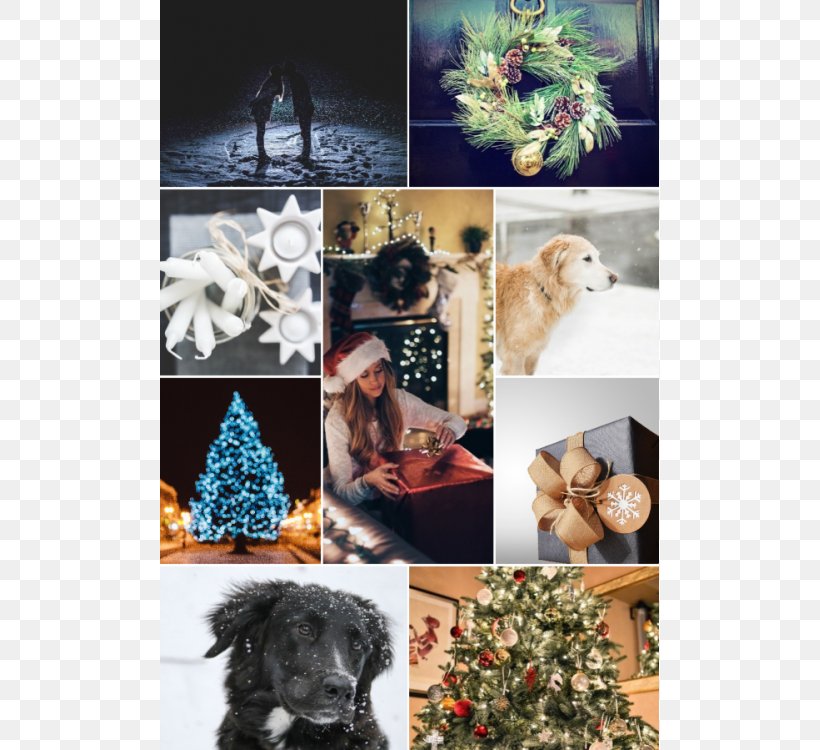 Dog Breed Christmas Ornament Christmas Tree, PNG, 750x750px, Dog Breed, Breed, Christmas, Christmas Decoration, Christmas Ornament Download Free