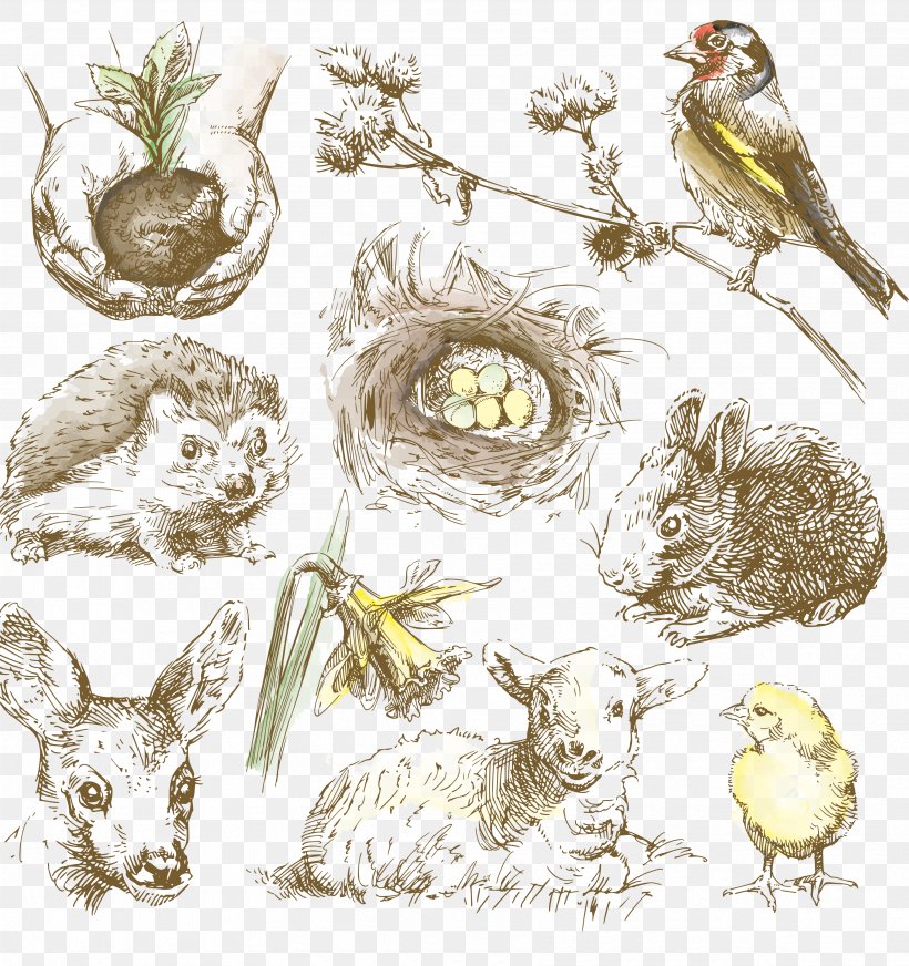 Drawing Animal Royalty-free Illustration, PNG, 3430x3648px, Drawing, Animal, Art, Beak, Bird Download Free