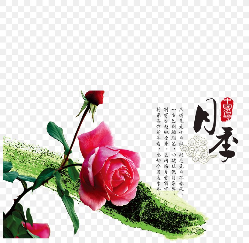 Garden Roses Rosa Chinensis Shiqiaozhen Beach Rose U4e2du56fdu5341u5927u540du82b1, PNG, 800x800px, Garden Roses, Artificial Flower, Beach Rose, Cut Flowers, Flora Download Free