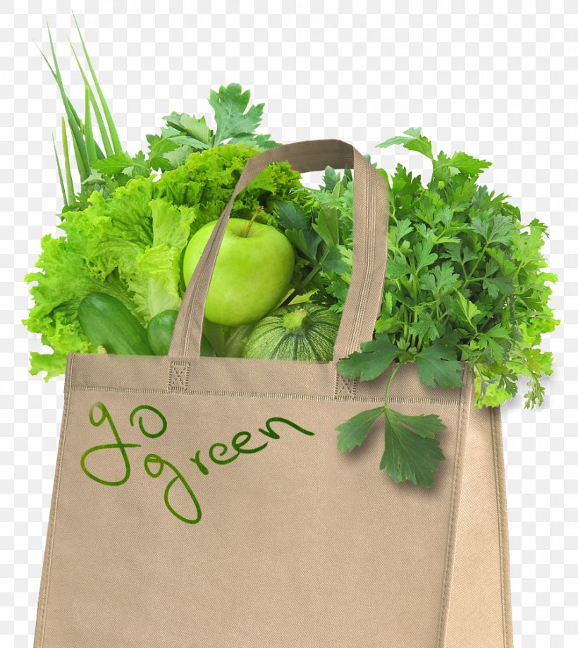 Easy To Carry Lightweight Single Compartments Reusable Plain Grocery Bags  at Best Price in Palakkad | Breathing Forest