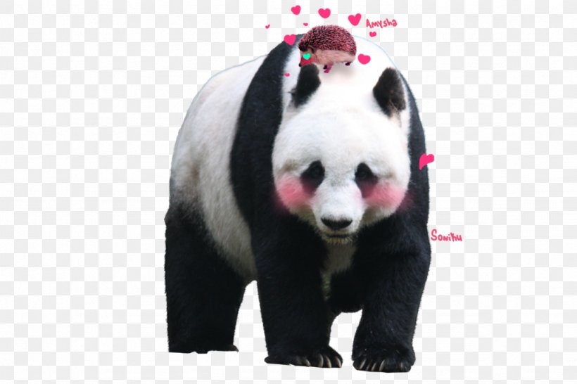 Pixelation Giant Panda Hamilton, PNG, 1024x682px, Pixelation, Bear, Carnivoran, Fur, Giant Panda Download Free