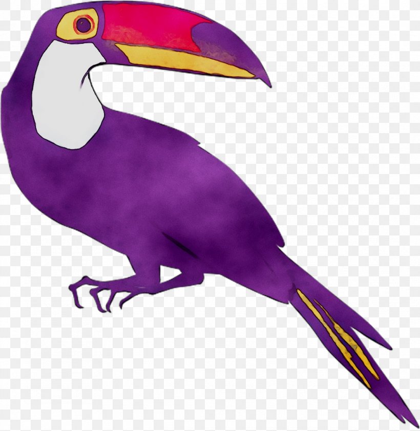 Toucan Beak Clip Art Purple Fauna, PNG, 1062x1091px, Toucan, Animal, Beak, Bird, Fauna Download Free