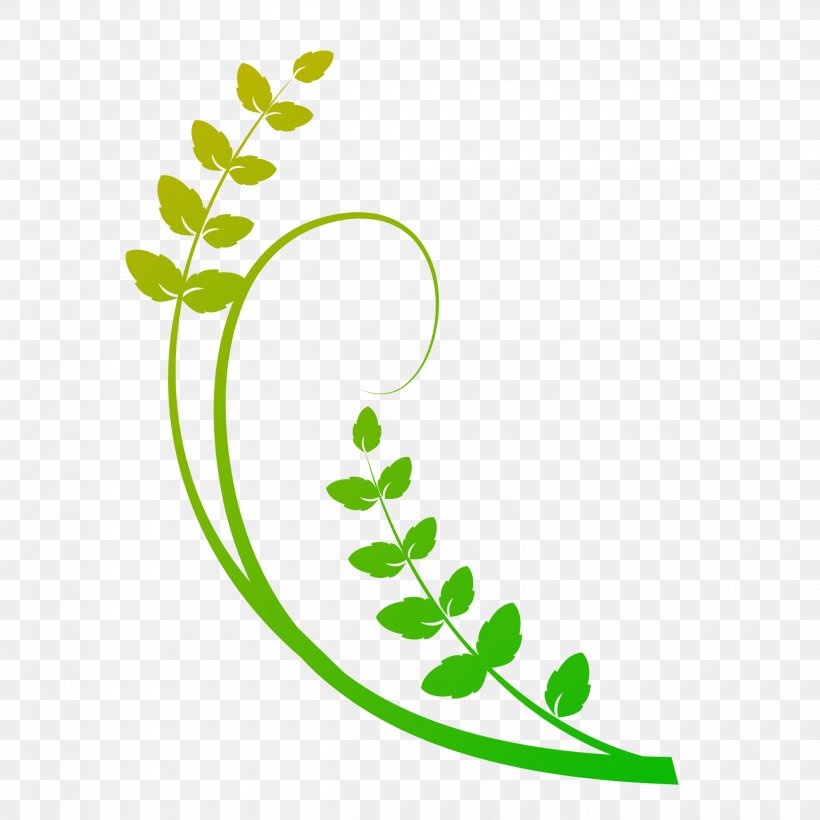 Vector Graphics Leaf Download Image, PNG, 2500x2500px, Leaf, Area, Branch, Drawing, Flora Download Free