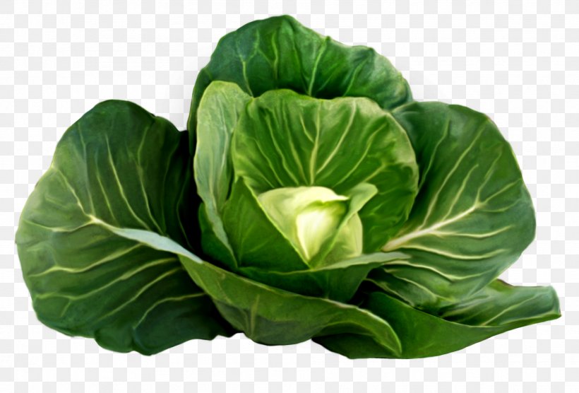 Cabbage Stew Food Red Cabbage, PNG, 1901x1291px, Cabbage, Brassica Oleracea, Broccoli, Cabbage Family, Cauliflower Download Free