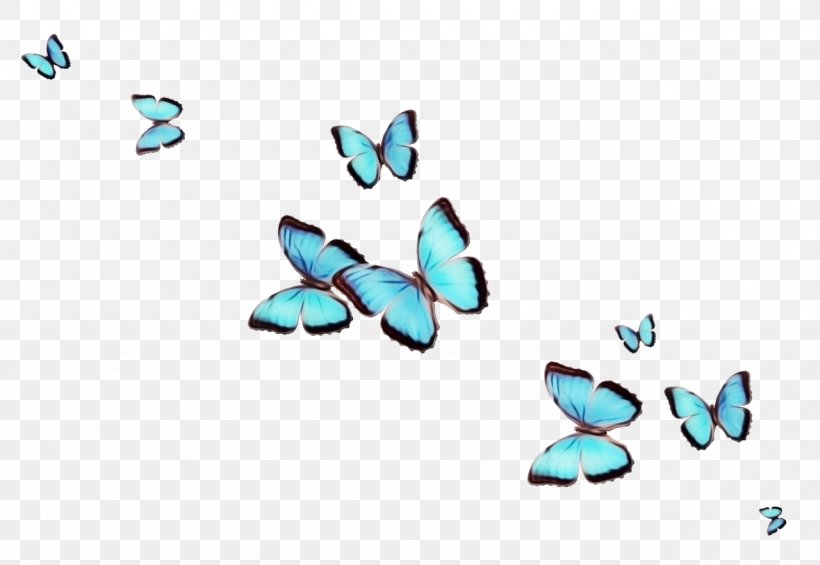 Turquoise Blue Aqua Butterfly Azure Png 1280x883px Watercolor Aqua Azure Blue Butterfly Download Free