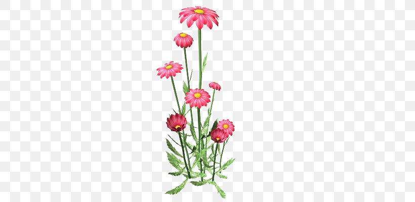 Chrysanthemum Drawing Animaatio, PNG, 400x400px, Chrysanthemum, Animaatio, Cartoon, Chrysanths, Cut Flowers Download Free