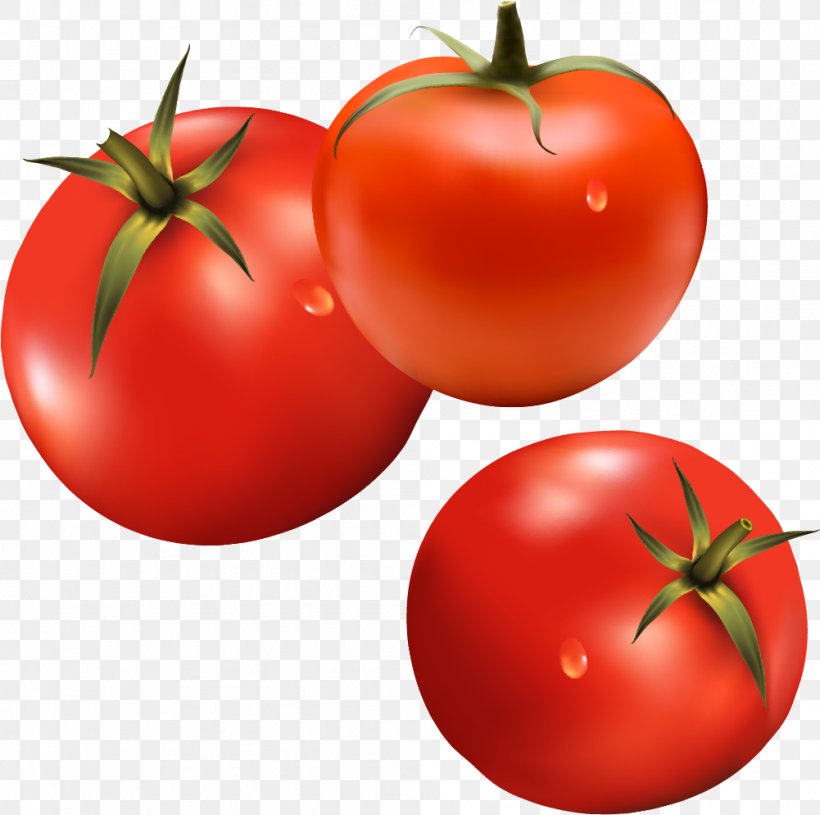Hamburger Tomato Vegetable Ketchup, PNG, 1001x995px, Hamburger, Apple, Bush Tomato, Diet Food, Food Download Free