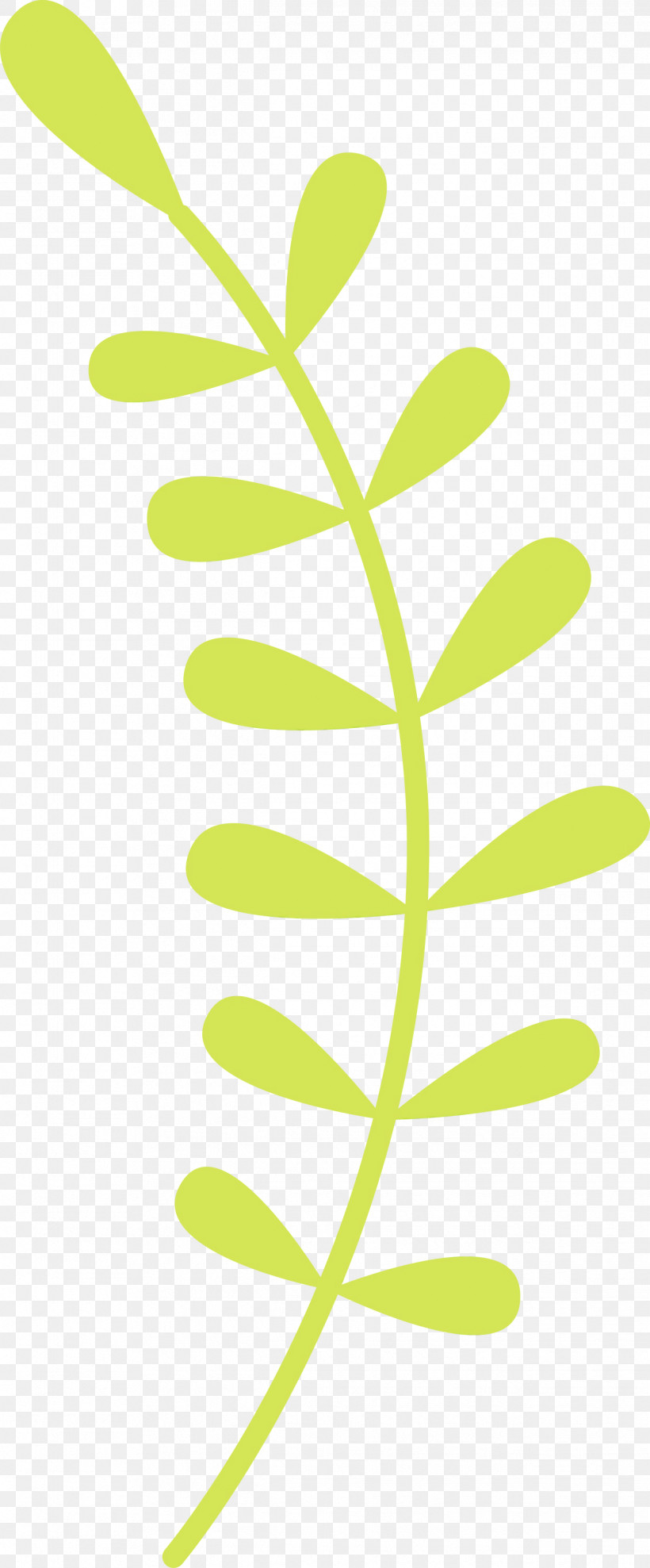 Leaf Green Plant Flower Plant Stem, PNG, 1244x3000px, Spring Flower, Cartoon, Flower, Green, Leaf Download Free