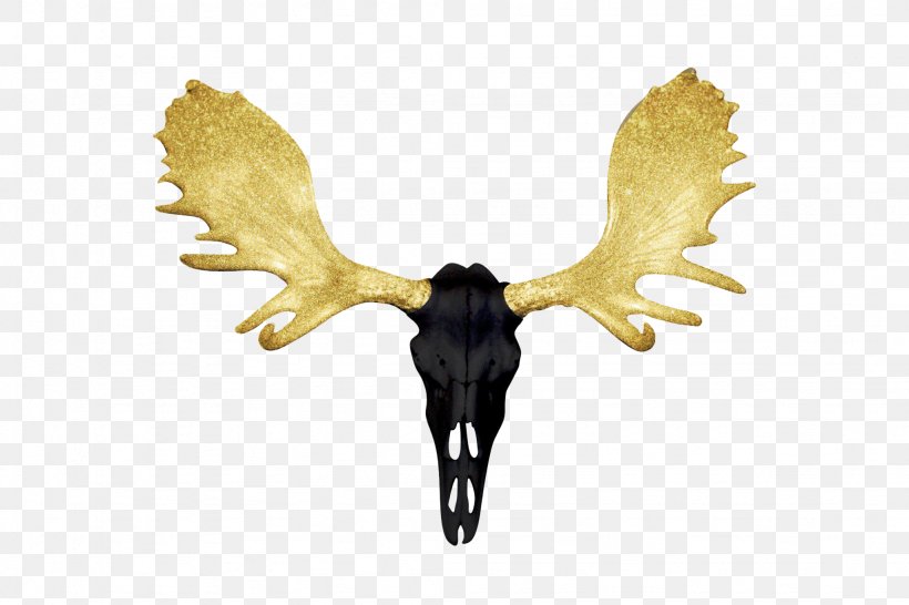 Skull Antler Horn Deer Bison, PNG, 2048x1366px, Skull, Antler, Bison, Deer, Gold Download Free