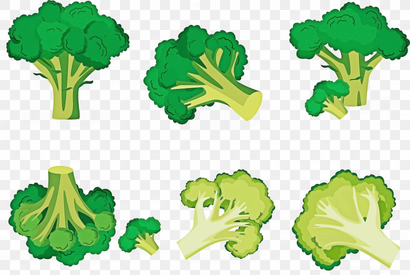 Vegetables Cartoon, PNG, 2932x1968px, Italica Group, Broccoli, Cauliflower, Leaf Vegetable, Lettuce Download Free
