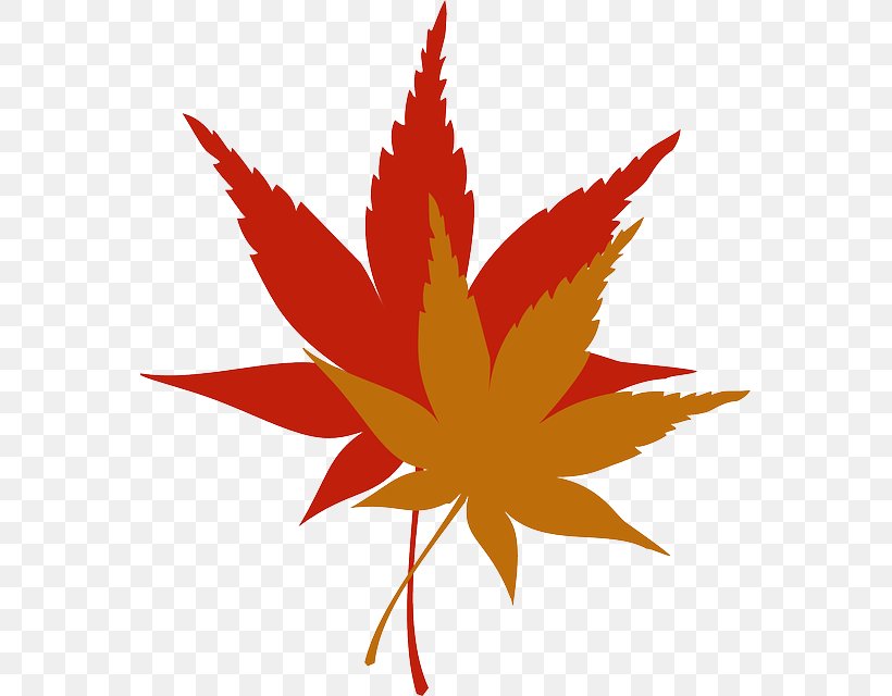 Autumn Leaf Color Clip Art, PNG, 561x640px, Autumn Leaf Color, Autumn, Color, Flower, Flowering Plant Download Free