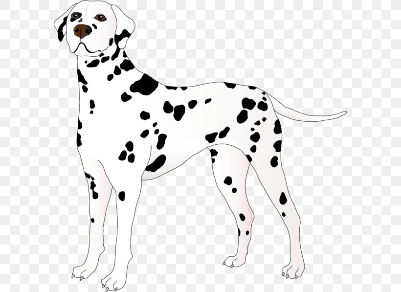 Dalmatian Dog Puppy Dog Breed Companion Dog Clip Art, PNG, 600x597px, Dalmatian Dog, Animal Figure, Black And White, Bulldog, Carnivoran Download Free