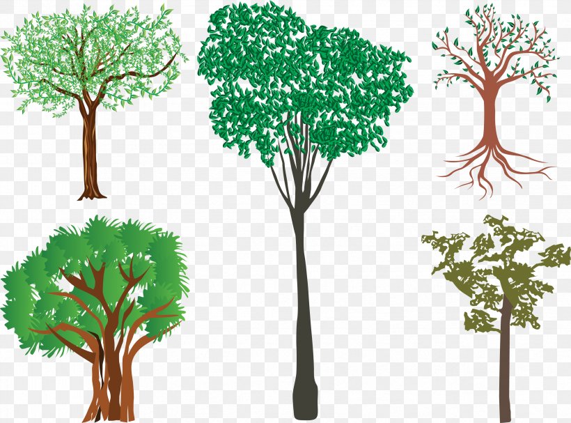 Illustration Branch Vector Graphics Tree, PNG, 3359x2490px, Branch, Drawing, Grass, Houseplant, Leaf Download Free