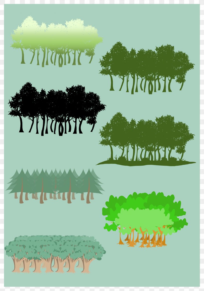 International Day Of Forests Silhouette, PNG, 1821x2600px, Forest, Cafe, Fauna, Grass, Green Download Free