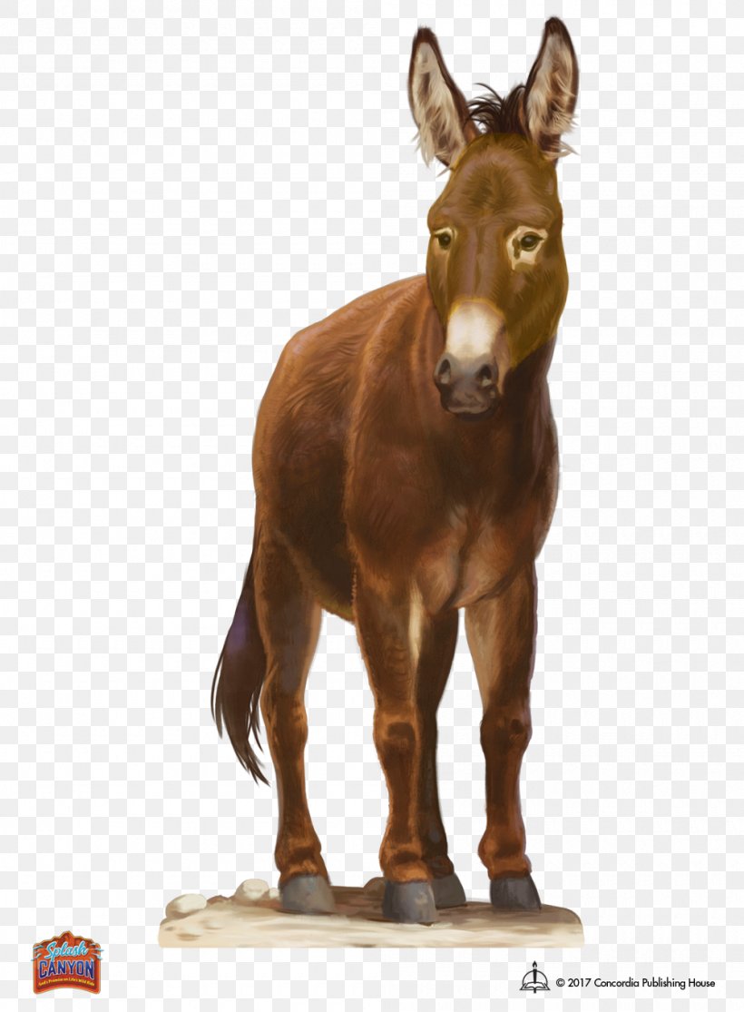 Mule Concordia Supply Download Clip Art, PNG, 1000x1360px, Mule, Christian Symbolism, Donkey, Fauna, Horse Download Free
