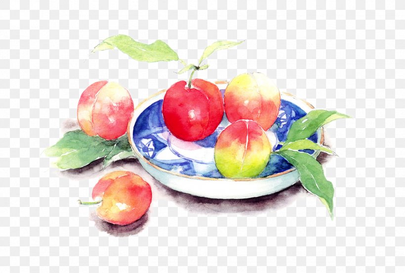 Saturn Peach Still Life Watercolor Painting Art, PNG, 1748x1181px, Saturn Peach, Apple, Art, Auglis, Composition Download Free
