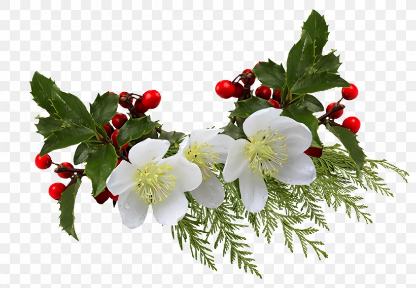 Christmas Holly Ilex Holly, PNG, 1300x902px, Christmas Holly, Artificial Flower, Blossom, Branch, Christmas Download Free