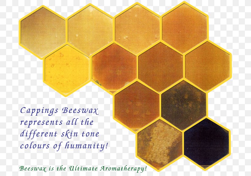 Honey Bee Honeycomb Font, PNG, 725x575px, Honey Bee, Bee, Honey, Honeycomb, Material Download Free