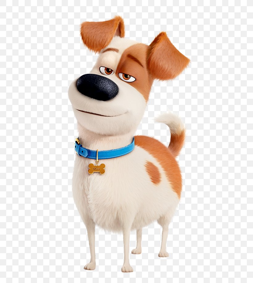 Max Gidget Dog Pet Film, PNG, 501x917px, Max, Animation, Carnivoran, Character, Companion Dog Download Free