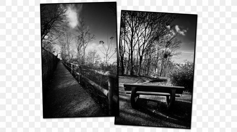 Vesoul Vierzon Photography Song, PNG, 2000x1112px, Vesoul, Artwork, Black And White, Honfleur, Jacques Brel Download Free