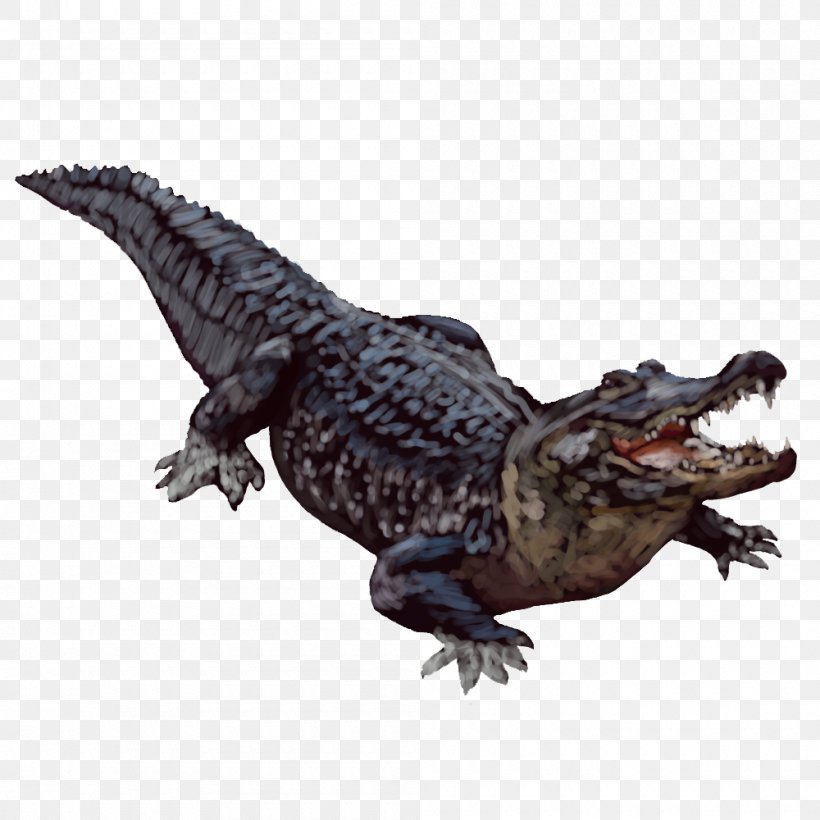 American Alligator Crocodiles, PNG, 1000x1000px, Crocodile, Alligator, American Alligator, Chinese Alligator, Crocodile Clip Download Free