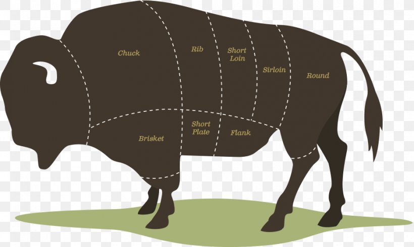 American Bison Beefsteak Meat Beef Tenderloin, PNG, 937x561px, American Bison, Beef Tenderloin, Beefsteak, Bison, Buffalo Meat Download Free