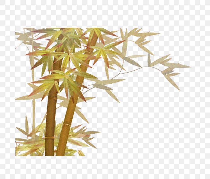 Bamboo, PNG, 700x700px, Bamboo, Animation, Branch, Data Conversion, Grass Download Free
