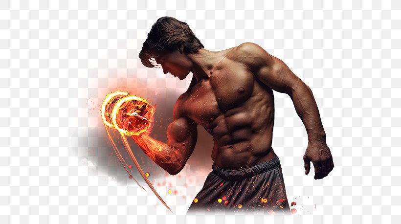 Dietary Supplement Physical Fitness Steroid Exercise Bodybuilding, PNG, 580x458px, Watercolor, Cartoon, Flower, Frame, Heart Download Free