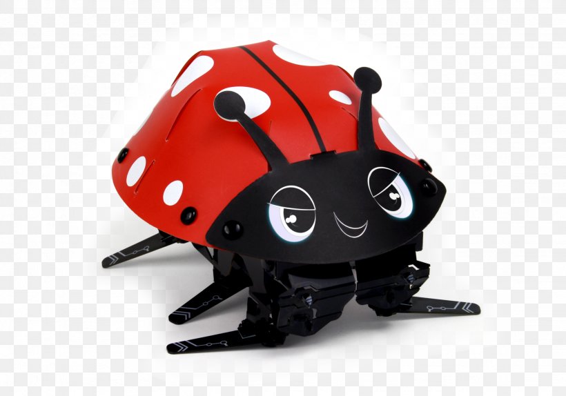 Ladybird Beetle Robot Kit Technology, PNG, 2048x1436px, Ladybird Beetle, Arthropod, Beetle, Engineering, Food Chain Download Free