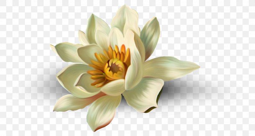 Nelumbo Nucifera Flower Clip Art, PNG, 1600x855px, Nelumbo Nucifera, Centerblog, Flower, Flowering Plant, Information Download Free