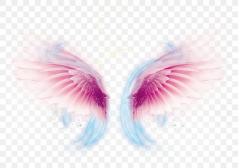 Wing Computer File, PNG, 1770x1251px, Pink, Close Up, Color, Eyelash, Feather Download Free