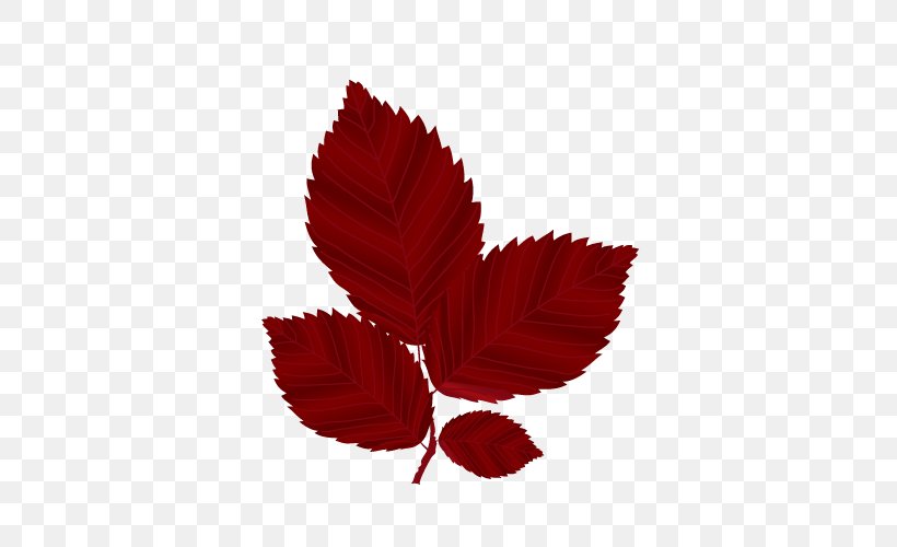 Autumn Leaves Red Maple Leaf, PNG, 500x500px, Autumn Leaves, Autumn, Color, Deciduous, Flower Download Free