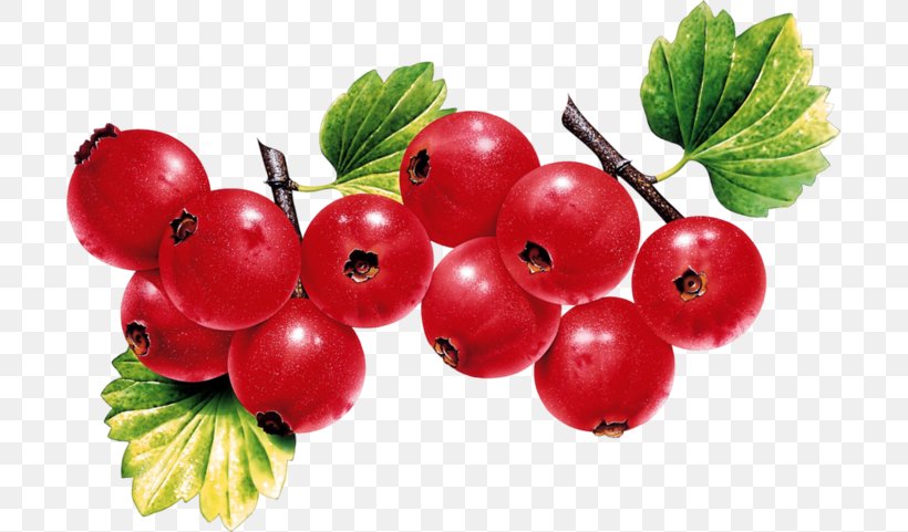 Blackcurrant Redcurrant Fruit Strawberry, PNG, 699x481px, Blackcurrant, Accessory Fruit, Berry, Cherry, Chinese Hawthorn Download Free