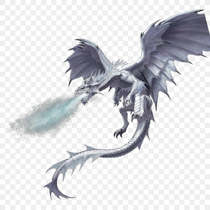 Dungeons & Dragons Pathfinder Roleplaying Game White Dragon D20 System, PNG, 1024x1024px, Dragon, Beak, D20 System, Drawing, Dungeons Dragons Download Free