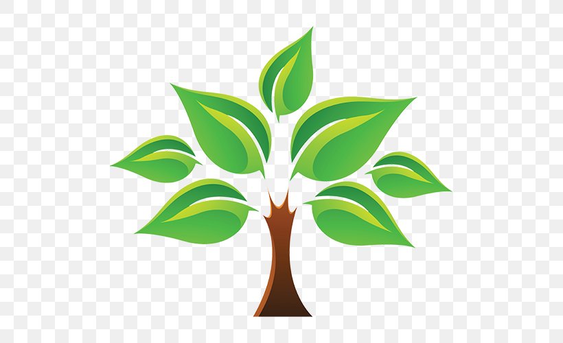 Tree Of Life Stock Photography, PNG, 500x500px, Tree Of Life, Art, Branch, Flower, Flowerpot Download Free