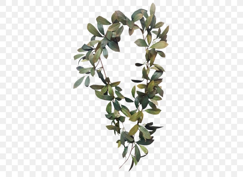 Bay Laurel Garland Laurel Wreath Leaf Branch, PNG, 800x600px, Bay Laurel, Artificial Flower, Bay Leaf, Branch, Cut Flowers Download Free