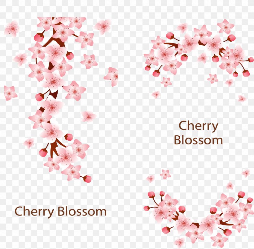 Cherry Blossom Adobe Illustrator, PNG, 1826x1788px, Cherry Blossom, Blossom, Cherry, Floral Design, Flower Download Free