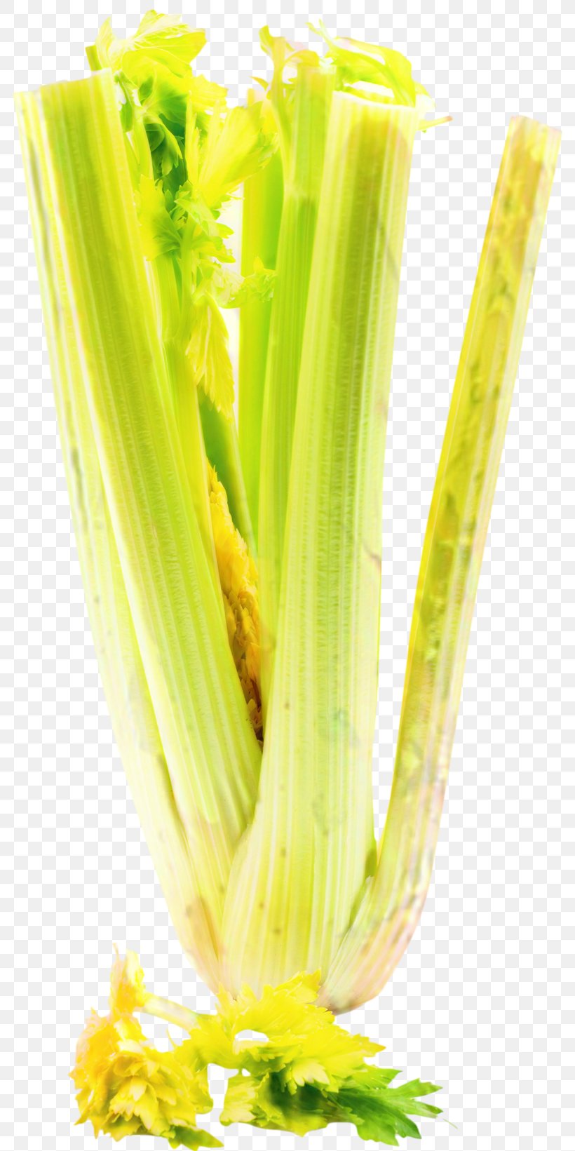 Corn Cartoon, PNG, 800x1641px, Corn On The Cob, Celery, Commodity, Corn, Fennel Download Free