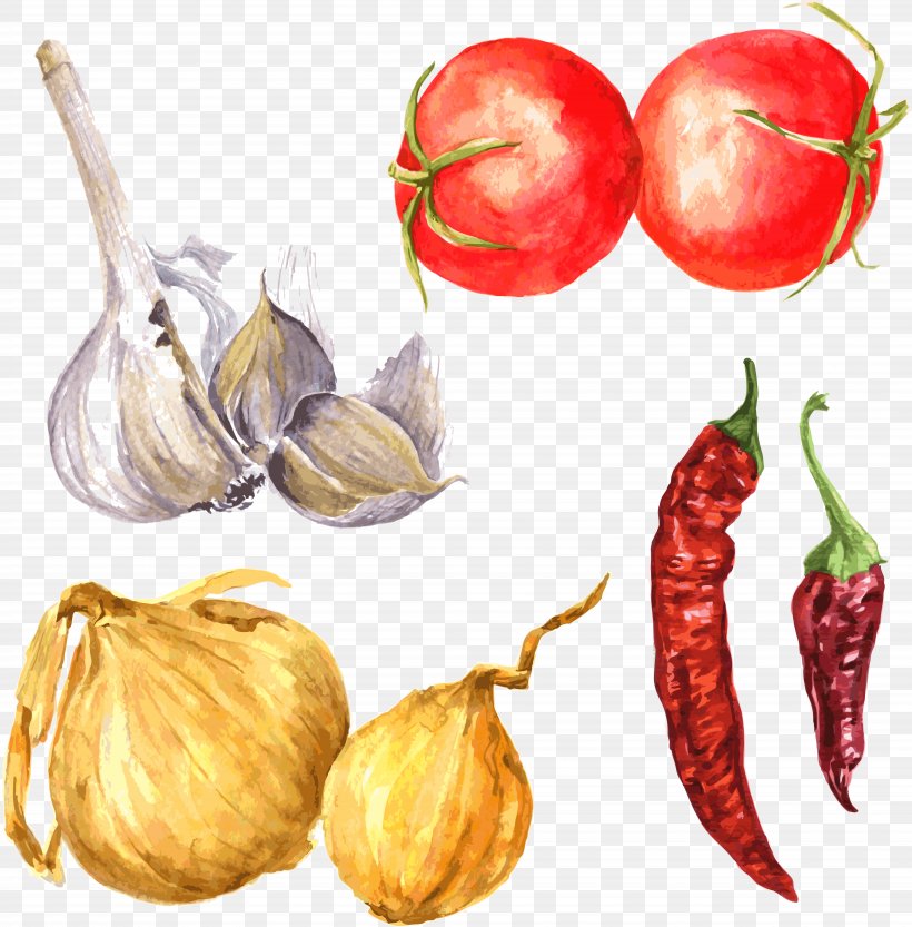 Drawing Spice Garlic Illustration, PNG, 19437x19752px, Drawing, Apple, Art, Bell Peppers And Chili Peppers, Chili Pepper Download Free