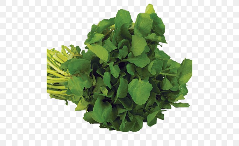 Food Watercress Herb Vegetarian Cuisine Vegetable, PNG, 500x500px, Food, Grass, Greens, Health, Healthy Diet Download Free