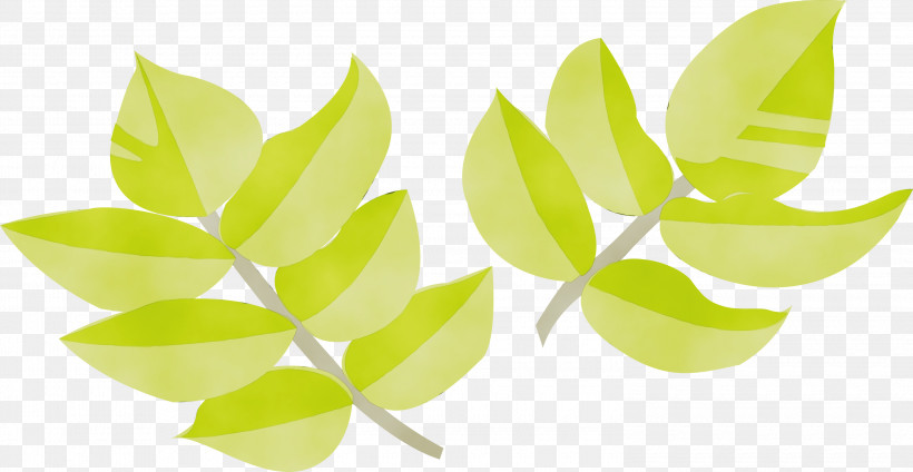 Leaf Green Plant Yellow Flower, PNG, 3000x1552px, Watercolor, Flower, Green, Leaf, Paint Download Free