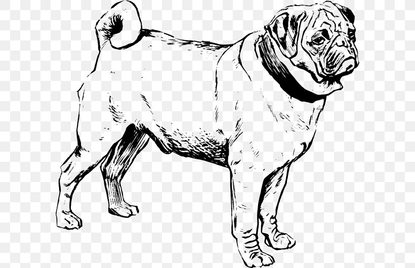 Puggle French Bulldog Poodle Puppy, PNG, 600x530px, Pug, Art, Black And White, Carnivoran, Dog Download Free