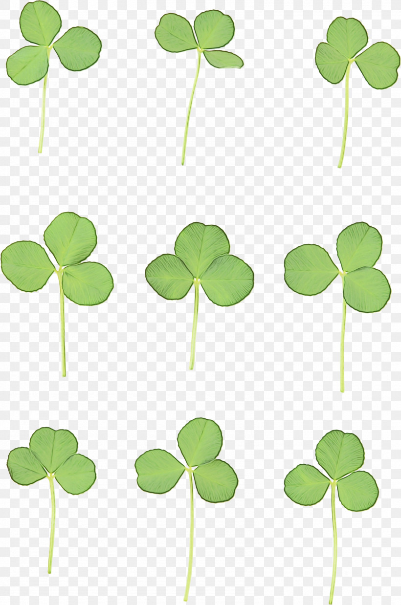 Shamrock, PNG, 1590x2402px, Watercolor, Clover, Creeping Wood Sorrel, Dutch Clover, Flower Download Free