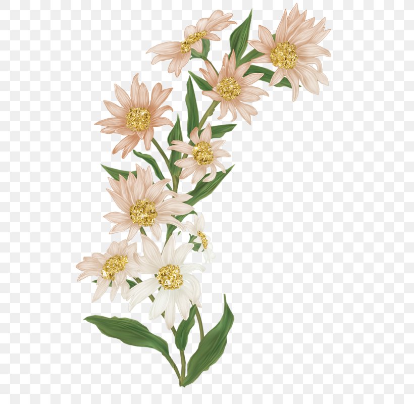 Cut Flowers Image Clip Art, PNG, 539x800px, Flower, Aster, Color, Cut Flowers, Daisy Family Download Free