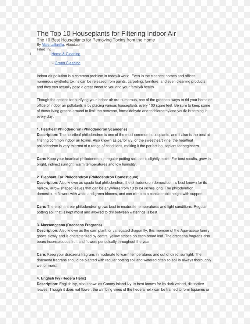 Document Line Screenshot Recipe Common Fig, PNG, 1700x2200px, Document, Area, Common Fig, Paper, Recipe Download Free
